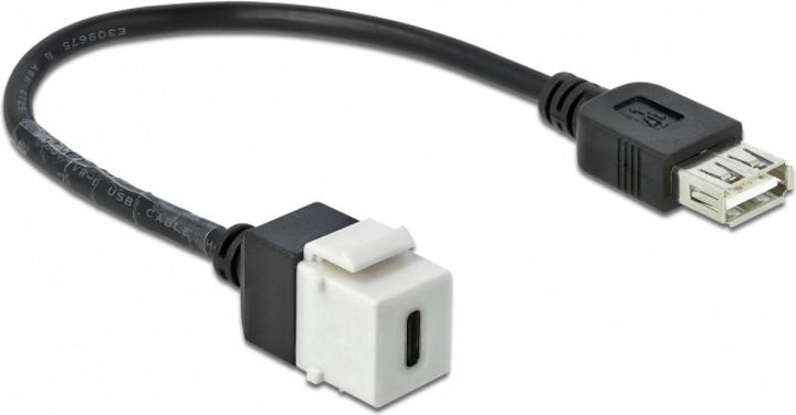 Image du produit Delock Module Keystone (0.25 m, USB 2.0)