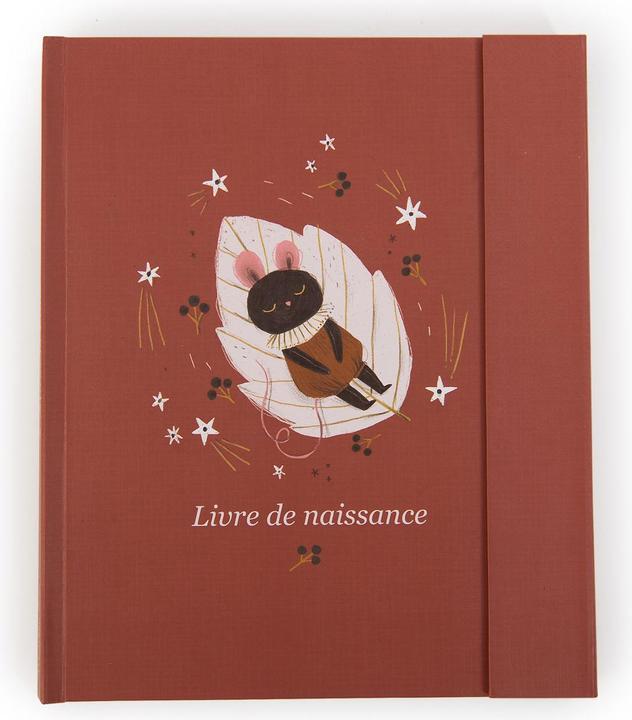 Moulin Roty Livre de naissance