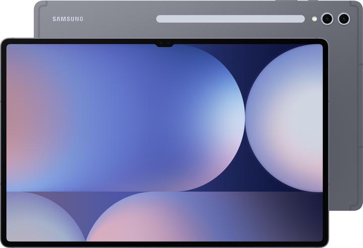 Actual product image Samsung Galaxy Tab S10 Ultra (5G, 14.60", 1000 GB, Moonstone grey)