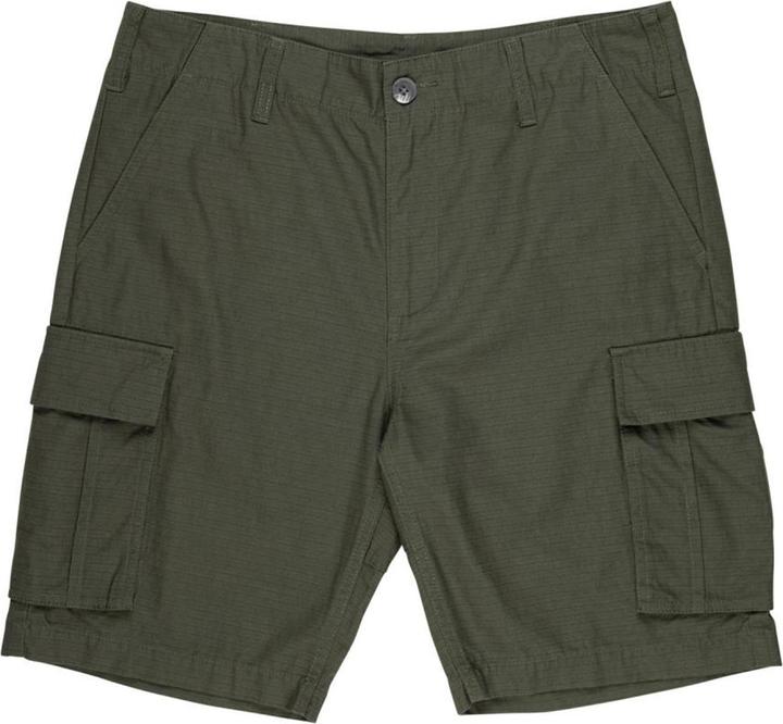 Actual product image Santa Cruz Gauntlet shorts (28)