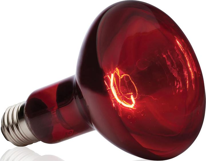 Exo Terra Infrared Basking Spot R30/150W (UVB, UVA)