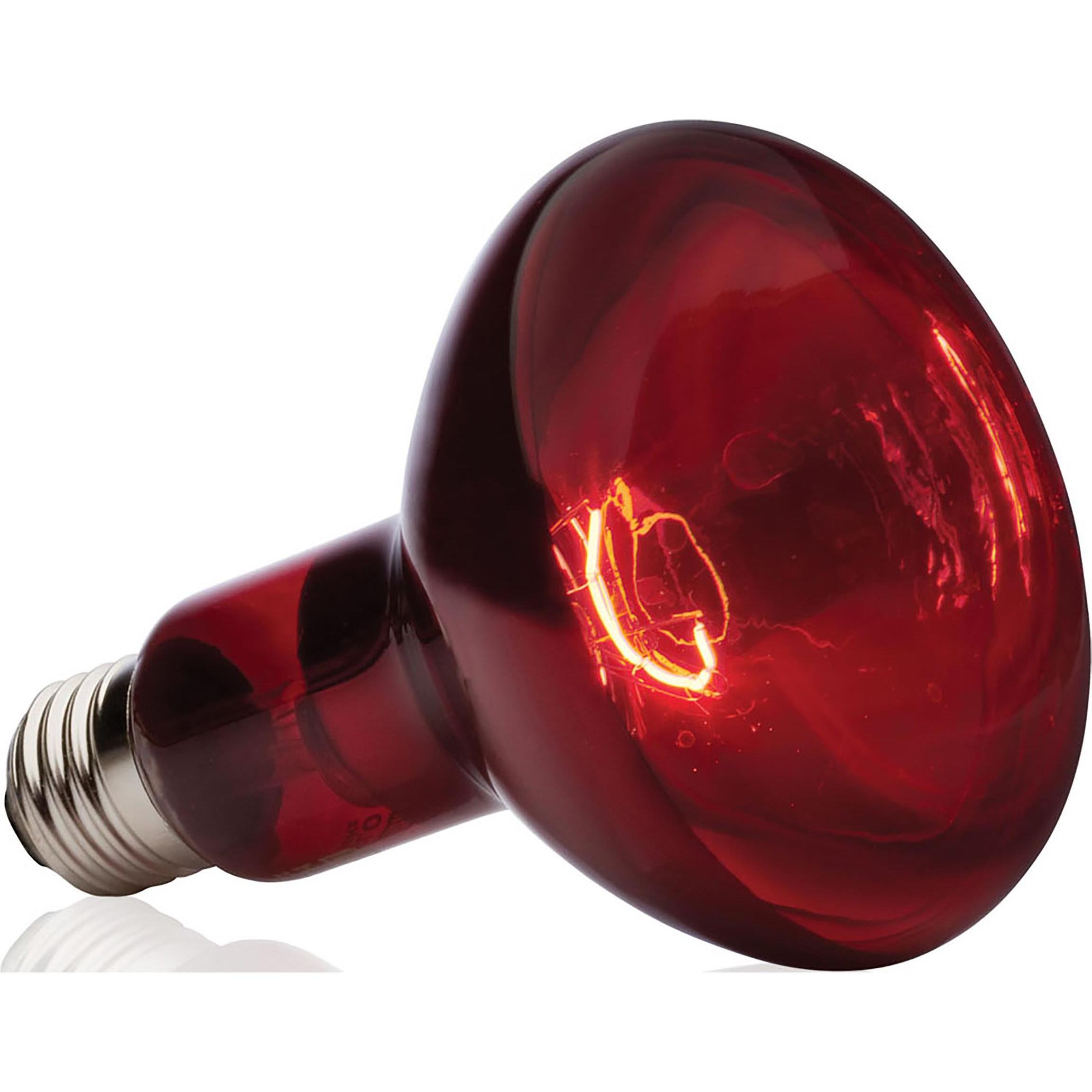 Comparer les prix de Exo Terra - Lampe Infrarouges Réptile de 95mm - 150W