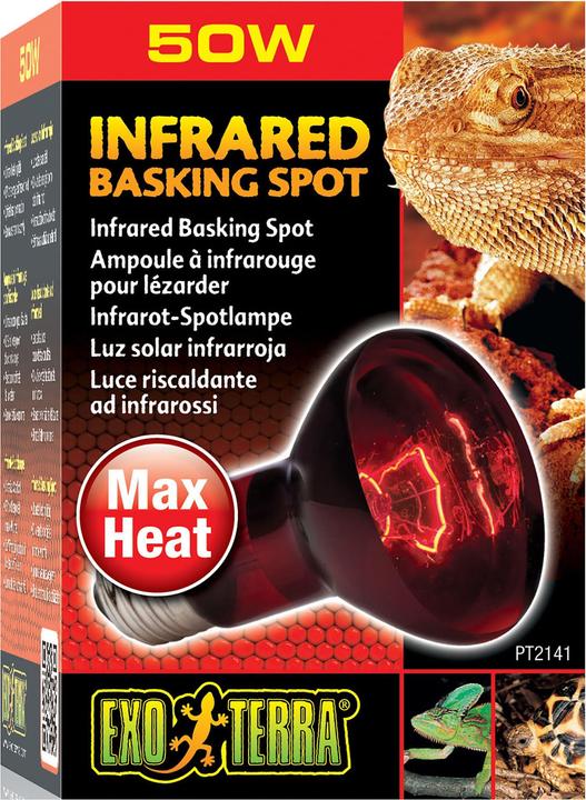 Exo Terra Punto di abbronzatura a infrarossi