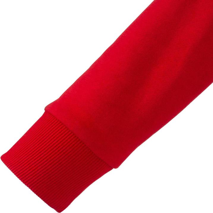 Image du produit Arsenal FC - Sweat à capuche - Garçon (122)