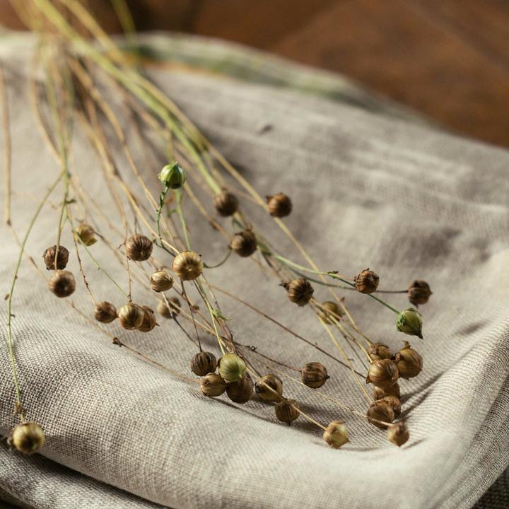 Image du produit Lotus Bettwaren Parure de lit en lin uni (Housse de couette, 160 x 210 cm)