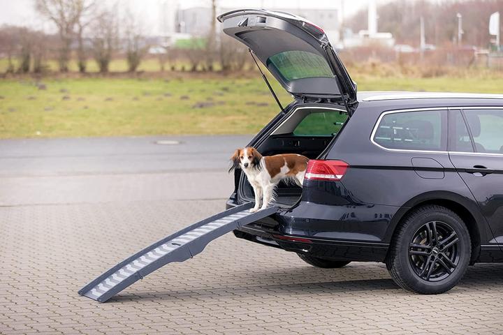 Produktbild Trixie Klapp-Rampe (Hund, Reflektoren)