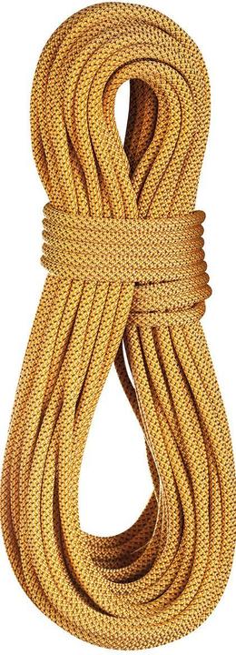 Edelrid Tower 10.5 climbing rope (40 m)