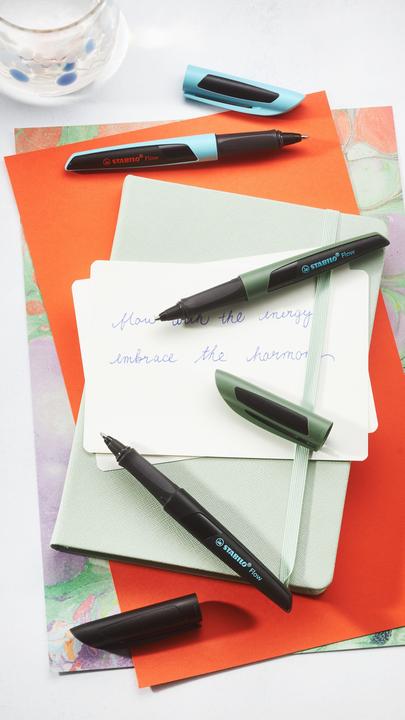 Produktbild STABILO Flow Kugelschreiber F'grün (Forest grün, Grün, Tannengrün, 1x)