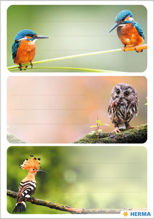 Immagine prodotto HERMA Vario