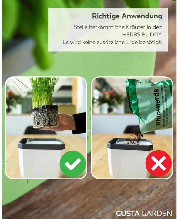 Actual product image Gusta Garden Herbs Buddy Set (49 x 15 x 14.50 cm)