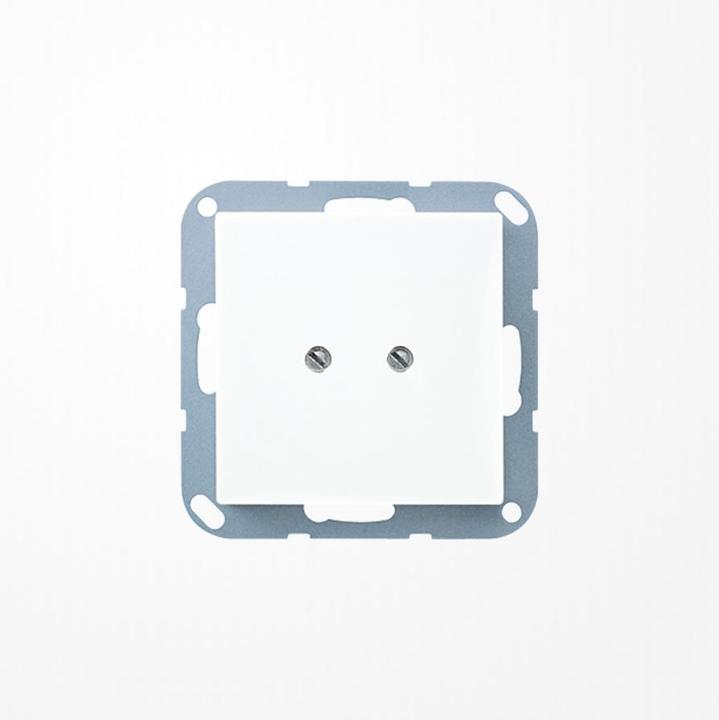 Actual product image JUNG Blind plate