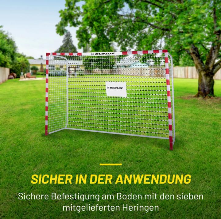 Actual product image Dunlop Soccer goal