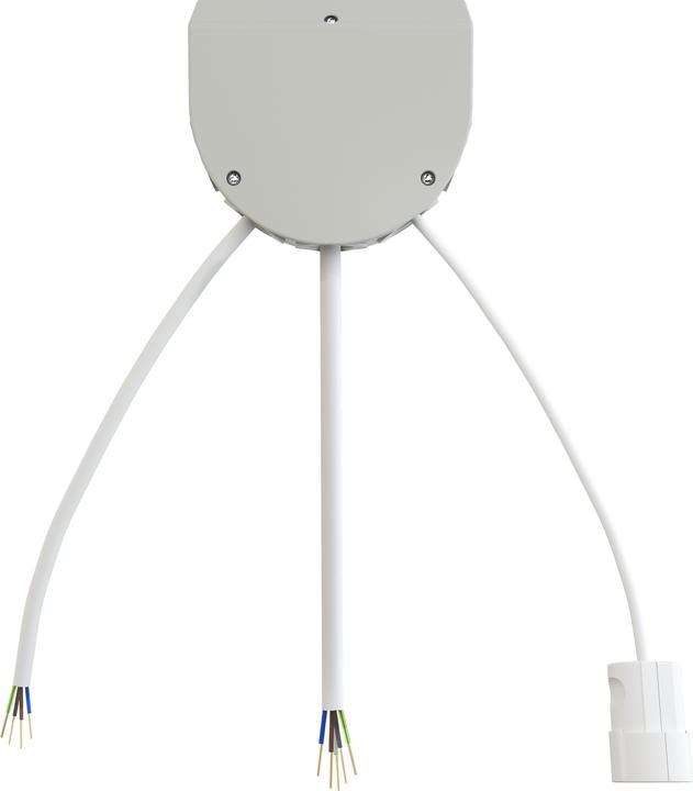 Immagine prodotto Bachmann Scatola di connessione del fornello IP20 Grigio (R (2 m)