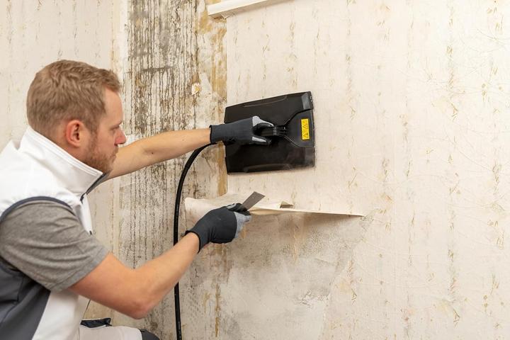 Productafbeelding SteamForce Speed Pro stoom behangafstomer 2750 W (2750 W)