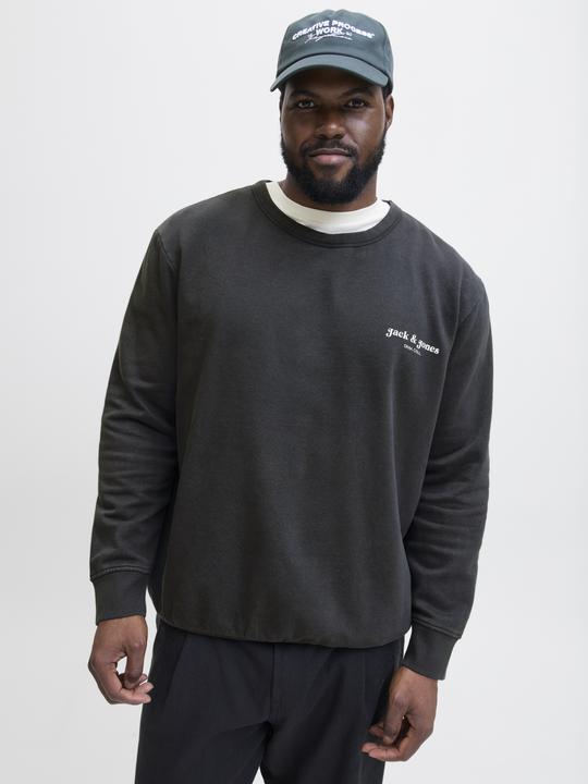 Actual product image Jack & Jones Plus Size Gedruckt Sweatshirt Sweatshirt (4XL)