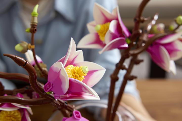 Immagine prodotto LEGO Rami di magnolia (11510, LEGO Botanicals)