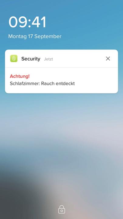 Actual product image Netatmo Smoke detector