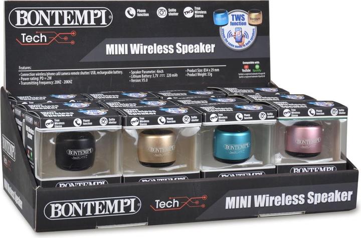 Immagine prodotto Bontempi Wireless Tierlautsprecher ass.
