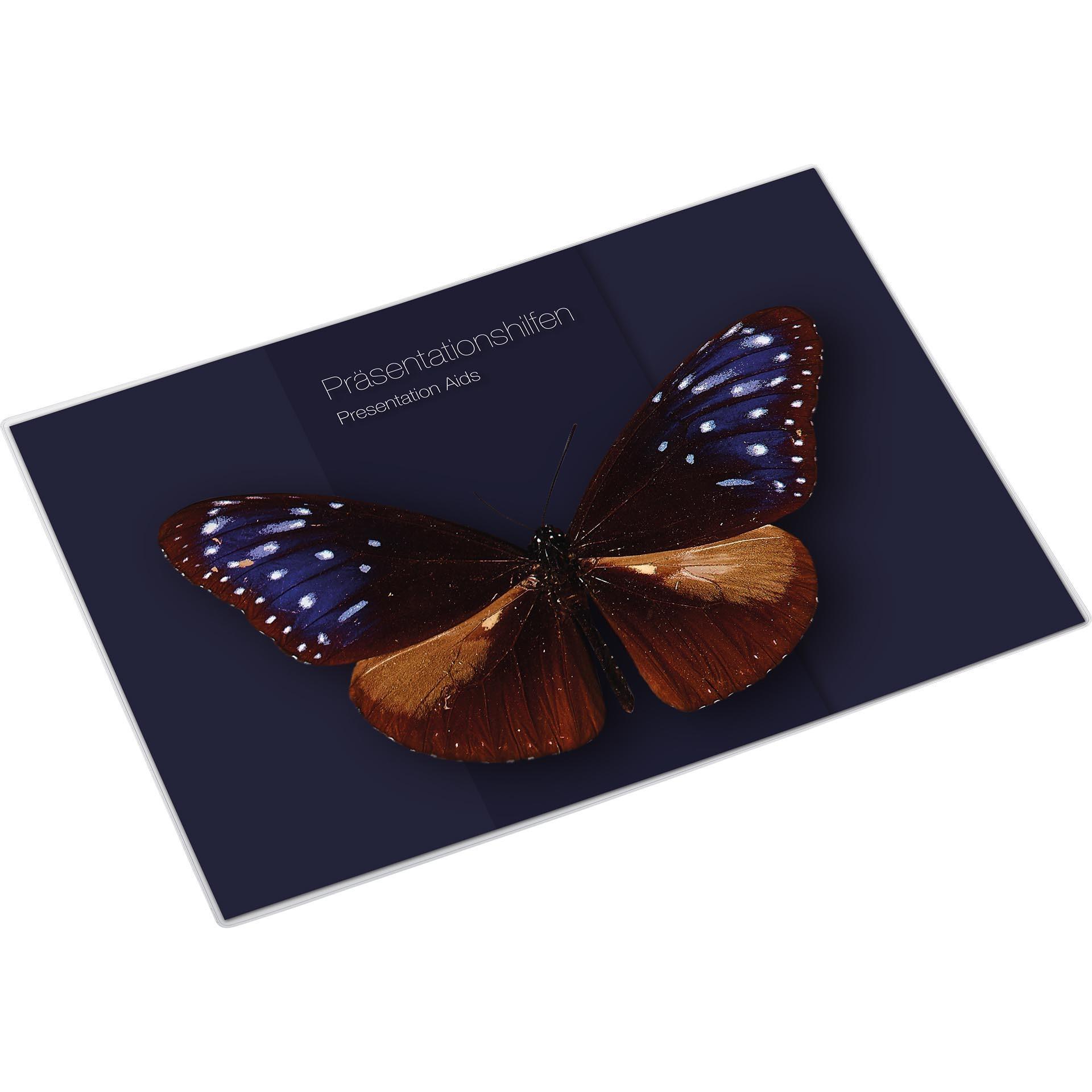 Thumbnail - Magnetoplan, Informationsschild, MAGNETOFIX - Sichttasche