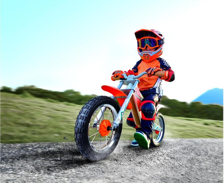 Produktbild Hape Enduro (12")