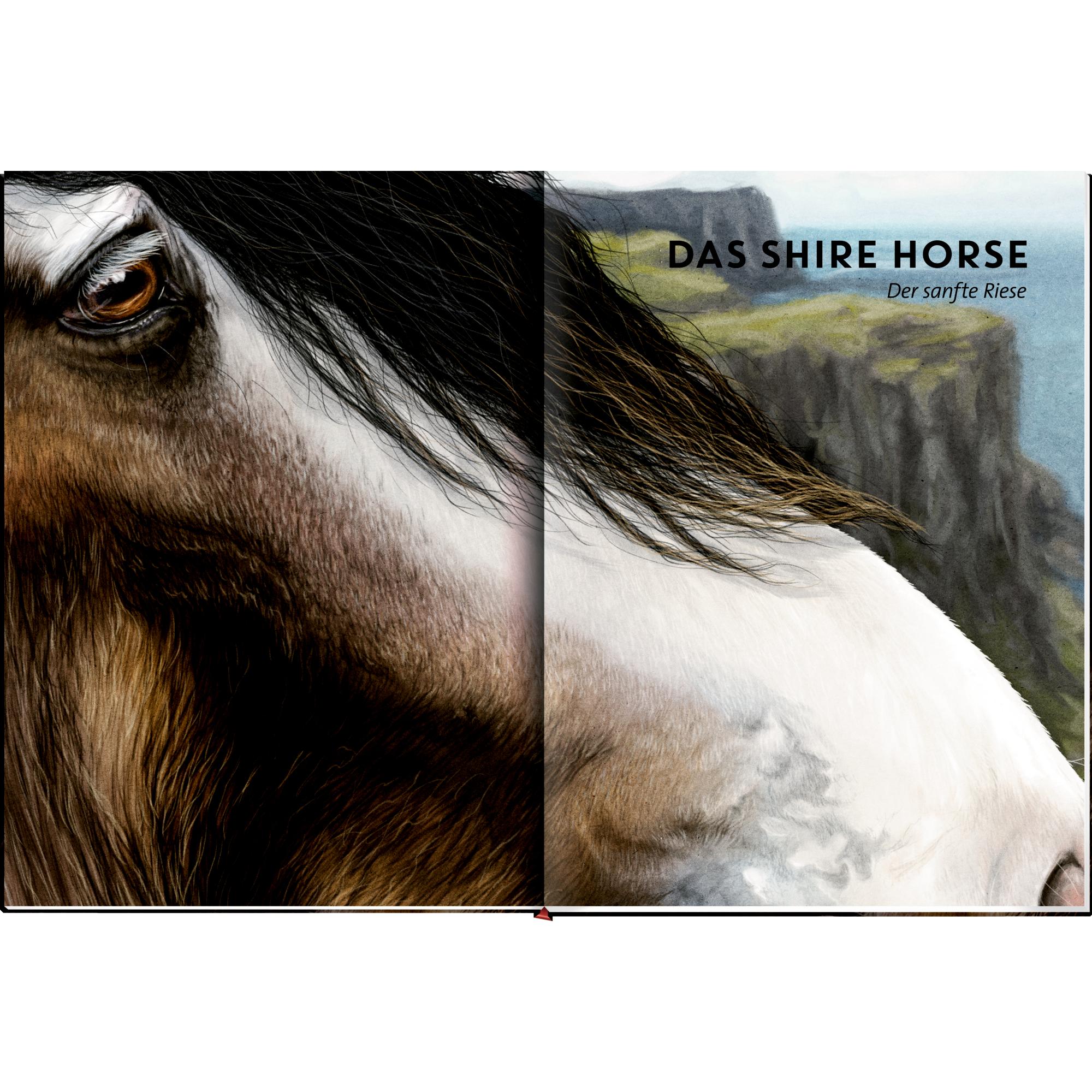 Lebensgross, Kinderbücher von Susan Niessen, Julia Gerigk