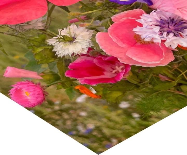 Image du produit Poster & Frame Printart (29.70 x 42 cm)