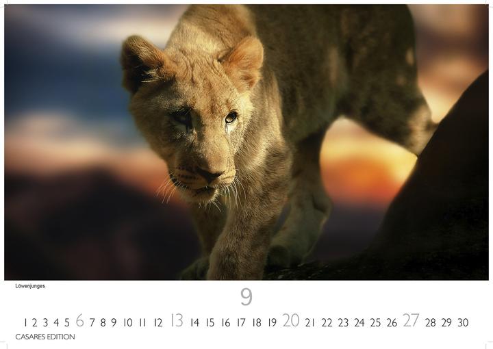 Produktbild Sdafrika 2026 S 24x35 cm (Spezial)