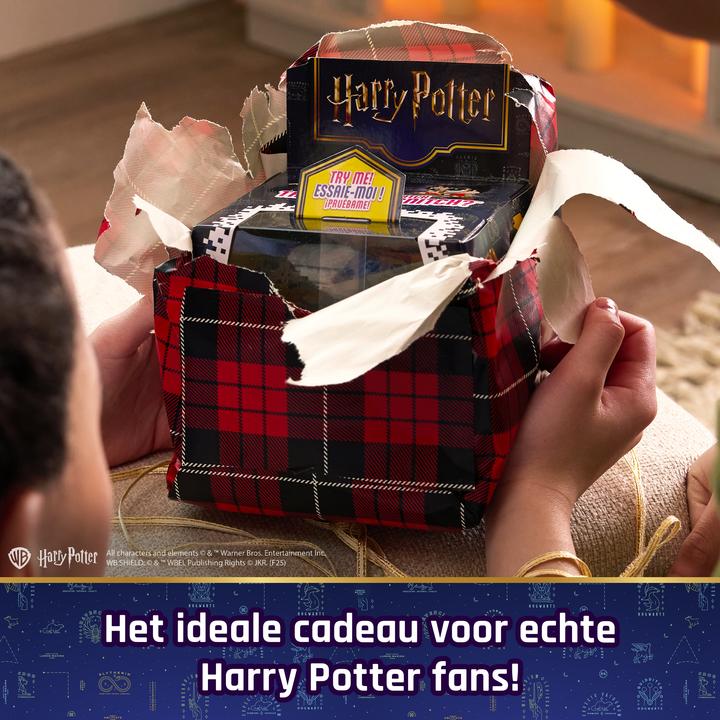 Actual product image Spin Master Bitzee Harry Potter