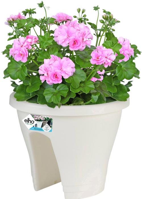 Produktbild Elho Corsica (29 cm)