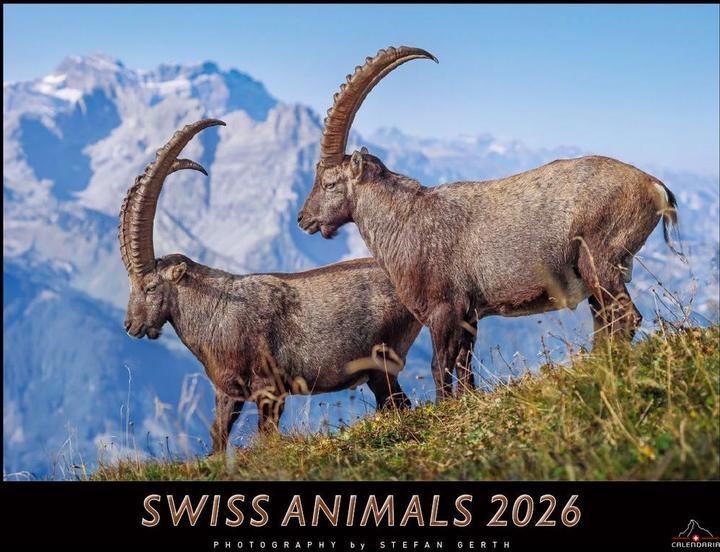 Image du produit Swiss Animals 2026 (40 x 31 cm)