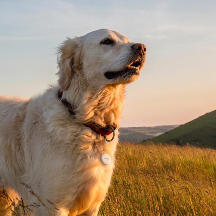 Actual product image Hama Mein Gerät finden (Android)