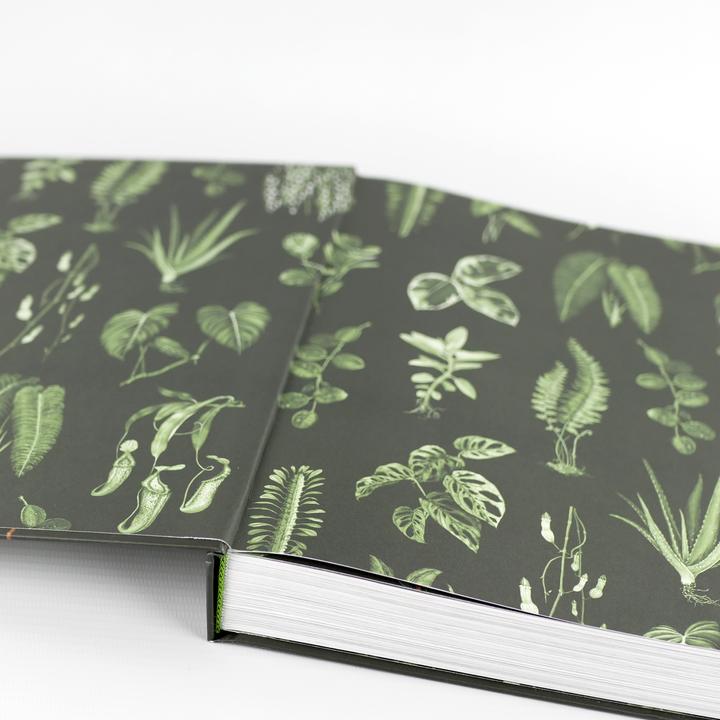 Image du produit Plantopedia (Allemand, Lauren Camilleri, Sophia Kaplan, 2022)