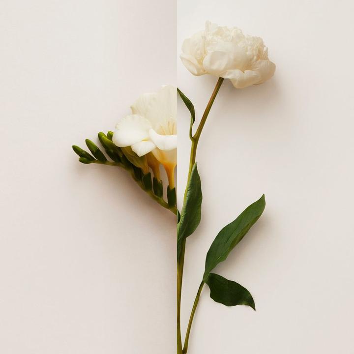 Produktbild Burberry My (Eau de Toilette, 90 ml)