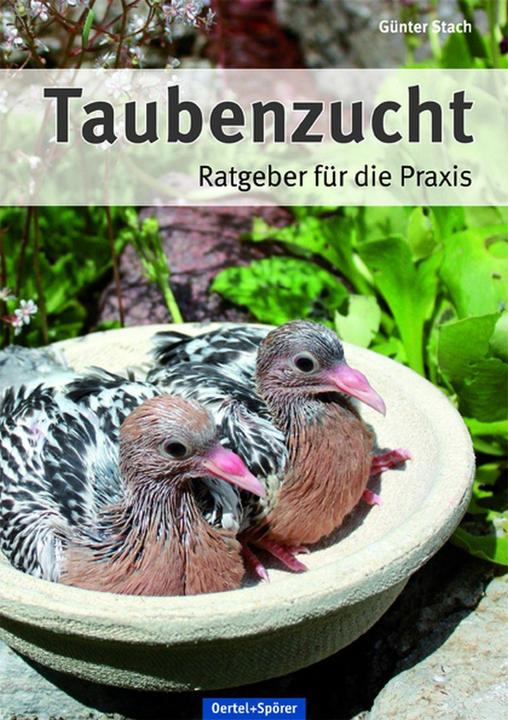 Produktbild Taubenzucht (Deutsch, Günter Stach, 2018)