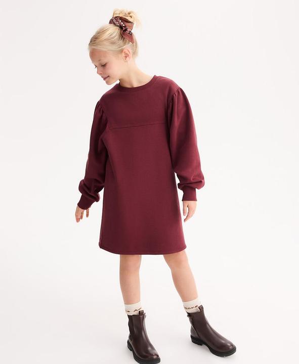 Produktbild La Redoute Collections Pulloverkleid mit langen Ärmeln aus Sweatware (110)