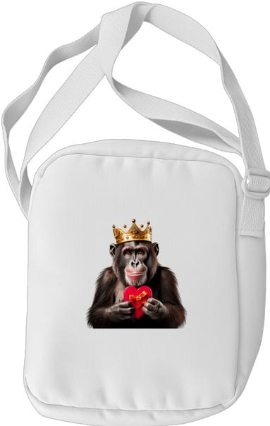 Produktbild Bügelbilder Schulrucksack-Set Äffchen (15 l)
