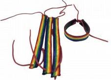 Actual product image Braided Bracelet With Lgbt Flag