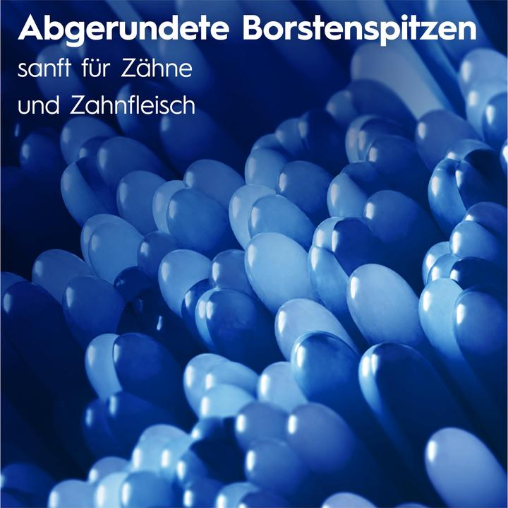 Image du produit Oral-B Pro-Clean (1x)