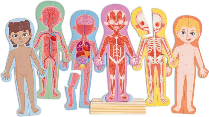 Immagine prodotto Hape Corpo umano (Inglese, 3 - 6 anni)