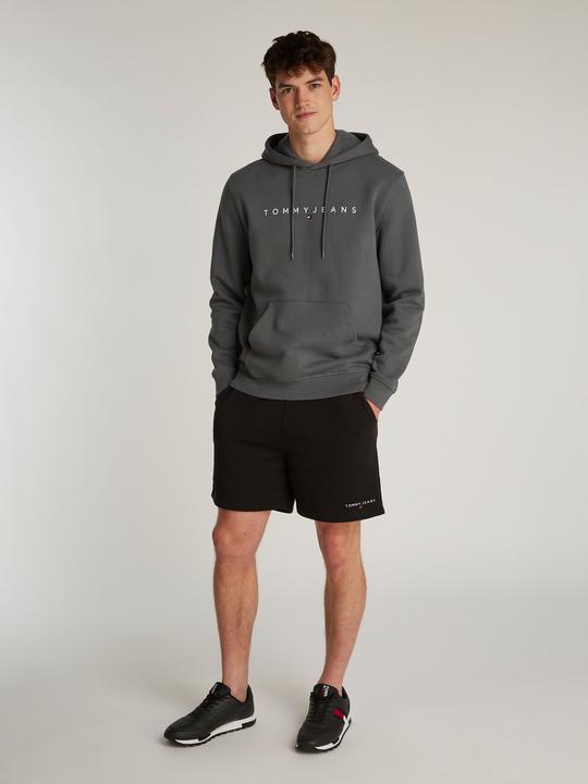 Image du produit Tommy Jeans Tjm Reg Linear Logo Hoodie Ext (L)
