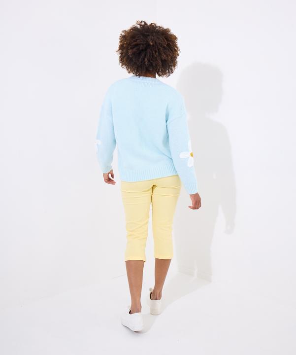 Image du produit Joe Browns Daisy Applique V-Neck Cardigan (36)