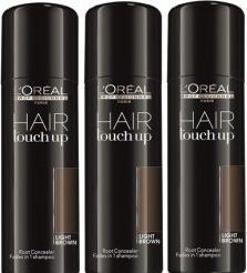 Actual product image L'Oréal Professionnel Hair Touch-Up (Tan)