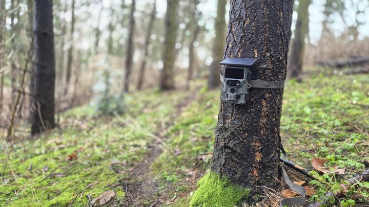 Actual product image Braun Photo BRAUN Scouting Cam Black1321 WiFi Solar 4K DS