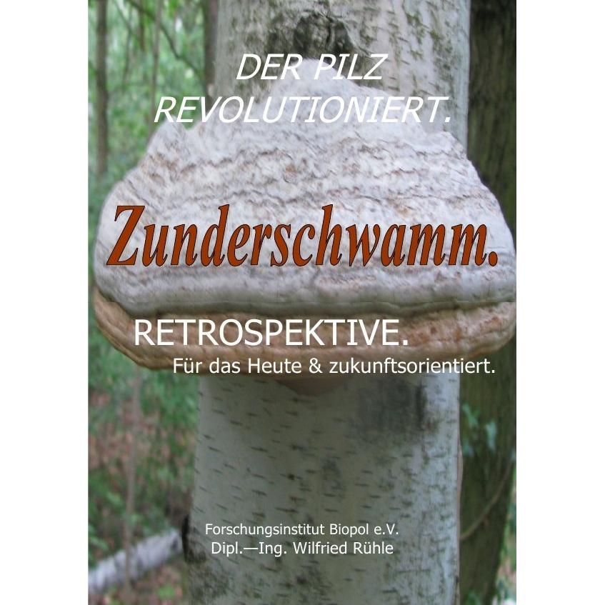 Rühle:Der Pilz revolutioniert. Zundersc, Ratgeber von Wilfried Rühle