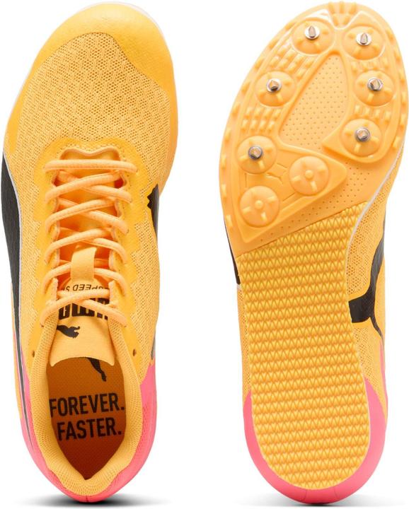 Actual product image Puma evoSPEED Star 9 Junior (39)