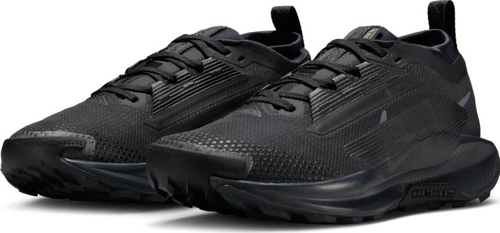 Image du produit Nike W REACTX PEGASUS TRAIL 5 GTX (FQ0912-002) (39)