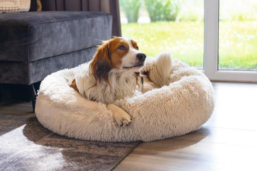 Image du produit Beeztees Hundebett Yala (Chien)