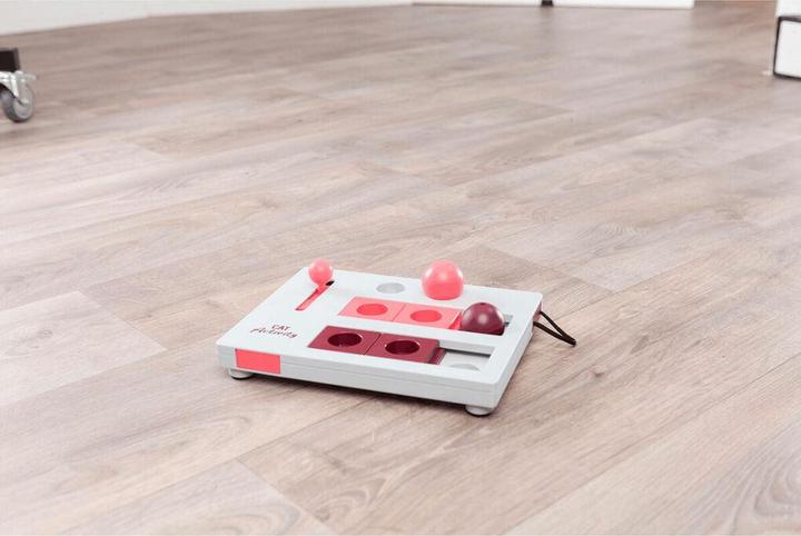 Actual product image Trixie Brain Mover (Cat activity toy)