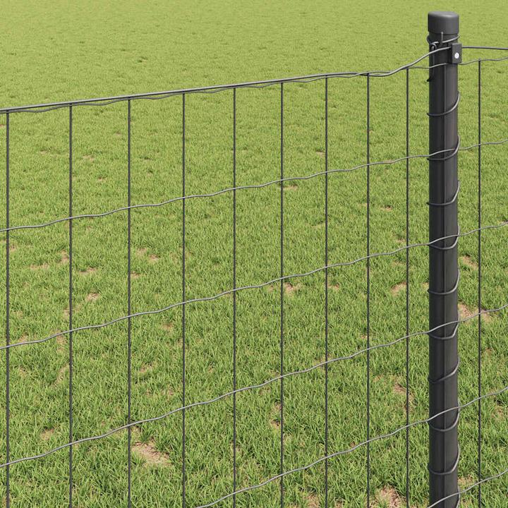 Produktbild vidaXL Eurozaun