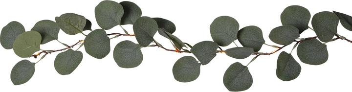 Immagine prodotto Star Trading Eucalyptus (1.80 m)